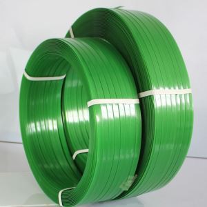 ROTTAMI DI CINTURINI IN PLASTICA ANIMALE DOMESTICO